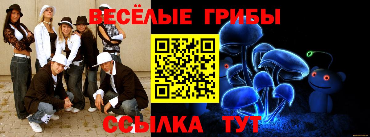 где купить наркоту  Вход с VPN  Чистополь  Псилоцибиновые грибы Psilocybe 